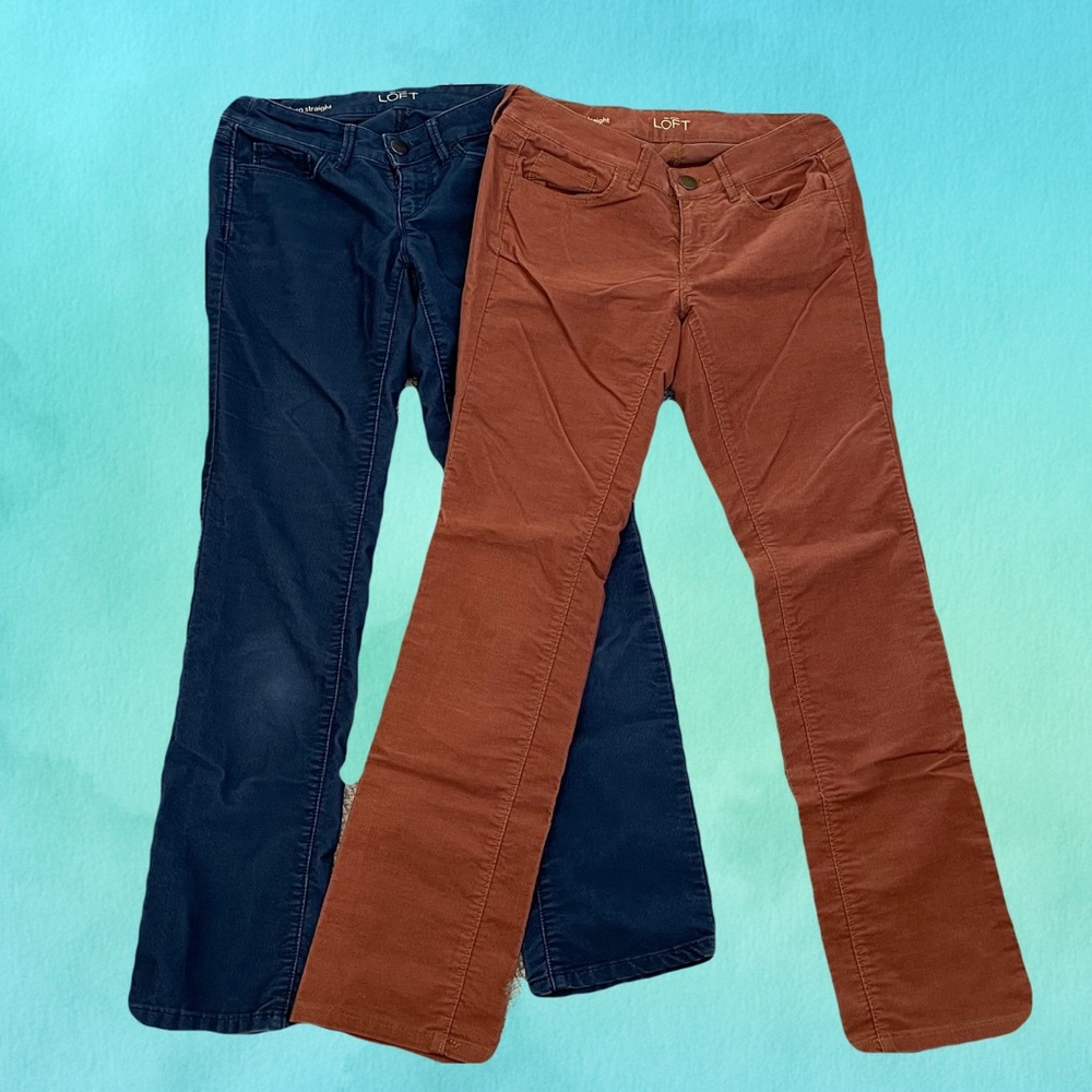 LOFT Women's Corduroy Straight-Leg Pants - Rust and Navy